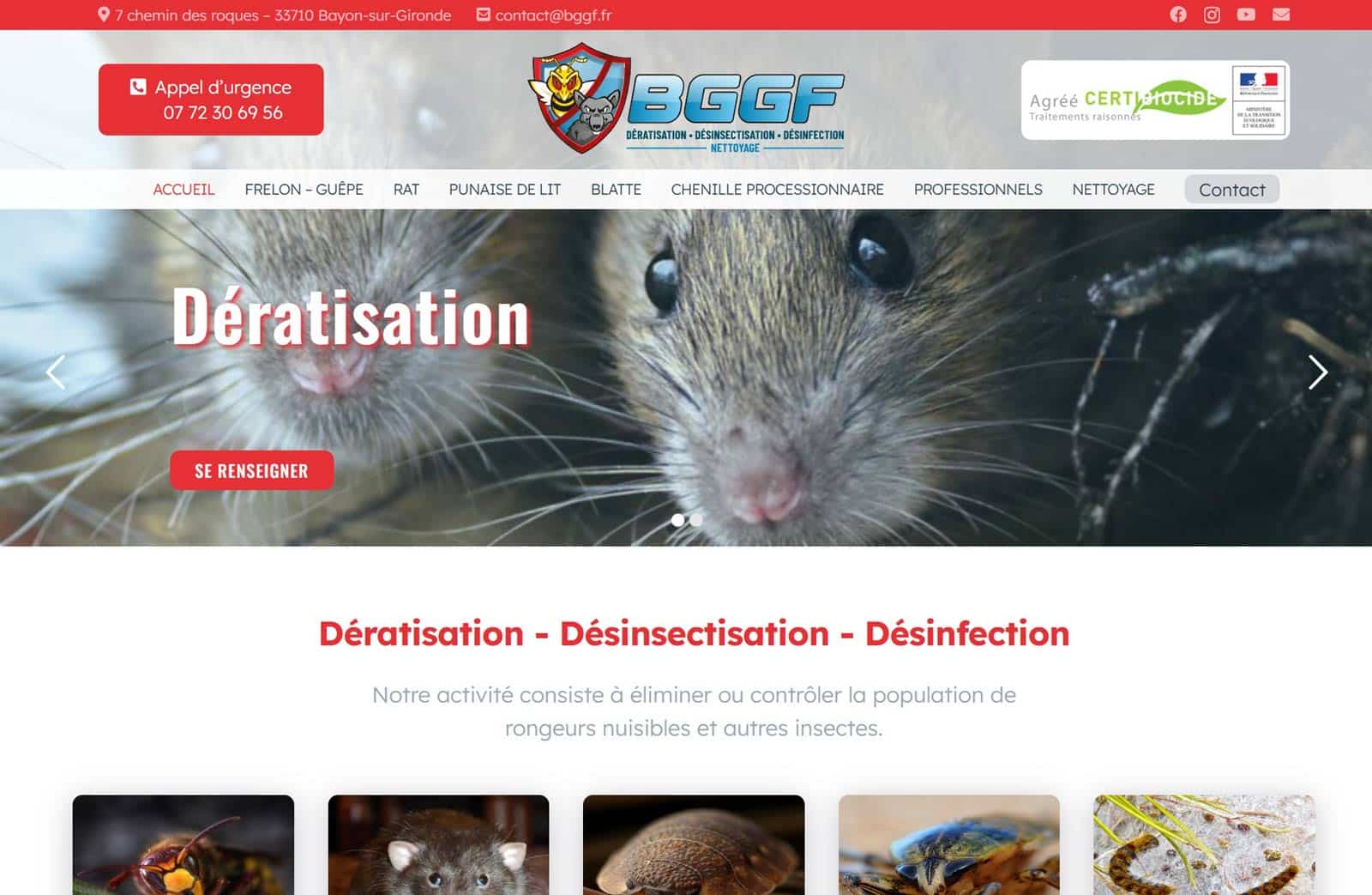 Site Internet Dératisation BGGF
